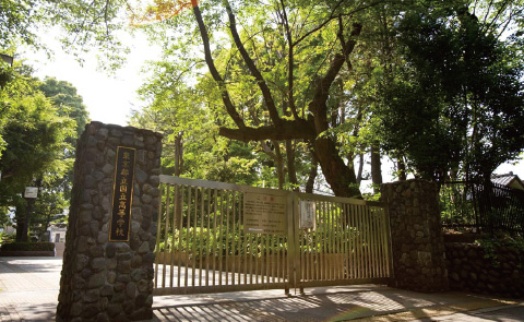 都立国立高等学校